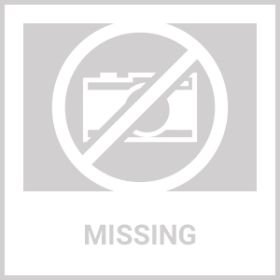 Texas Proud Stepping Stone - Texas Longhorn Flag | Handcrafted Home Decor